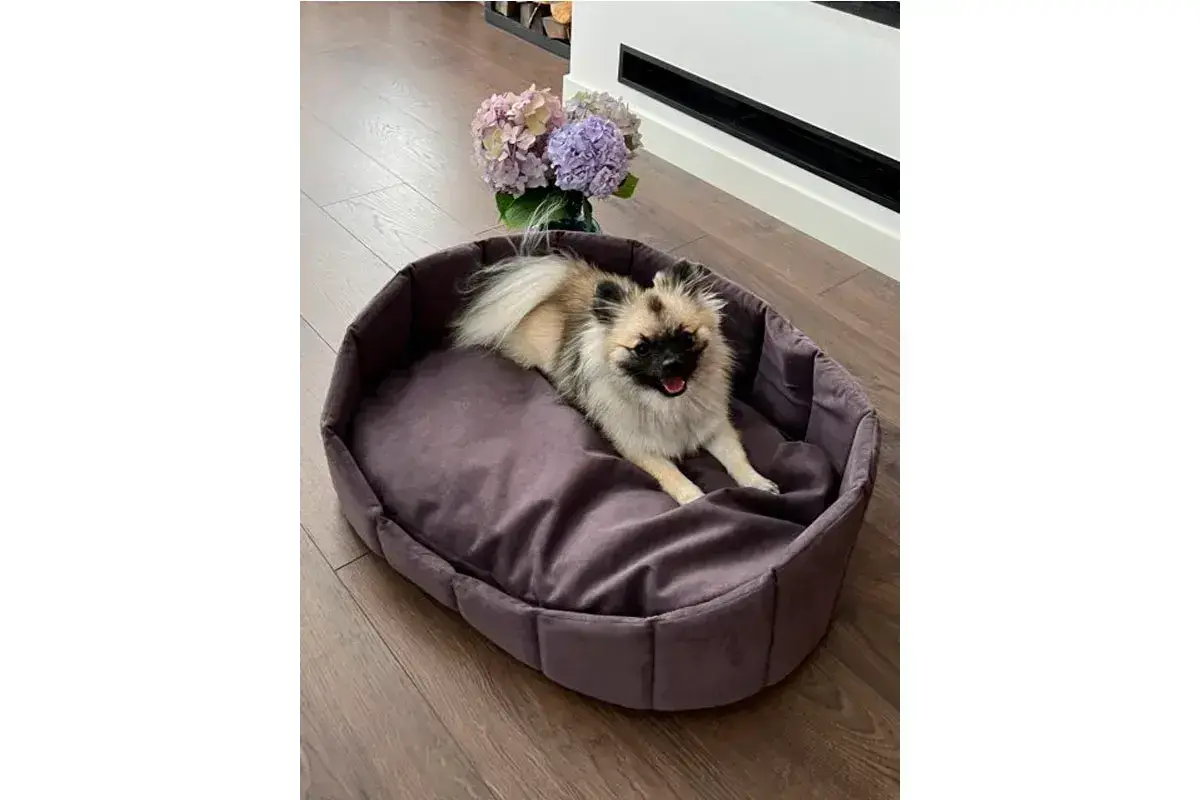 Лежанка Харпер XL XL Фиолетовый