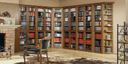 Какую мебель можно поставить в домашней библиотеке, и как обустроить комфортное место для чтения 