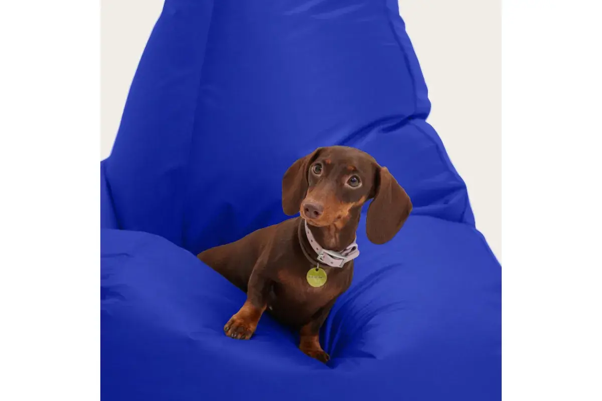 Кресло-мешок Груша Стандарт 3XL (Оксфорд / Василек)