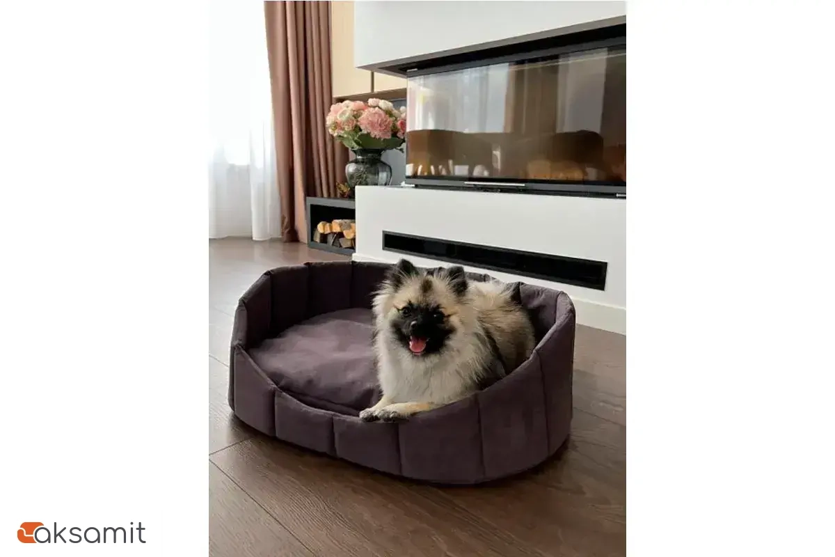 Лежанка Харпер XL XL Фиолетовый