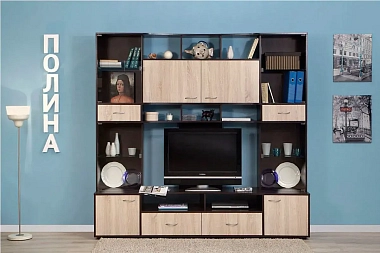 Шкаф МЦН Полина 1 (Венге/Дуб сонома)