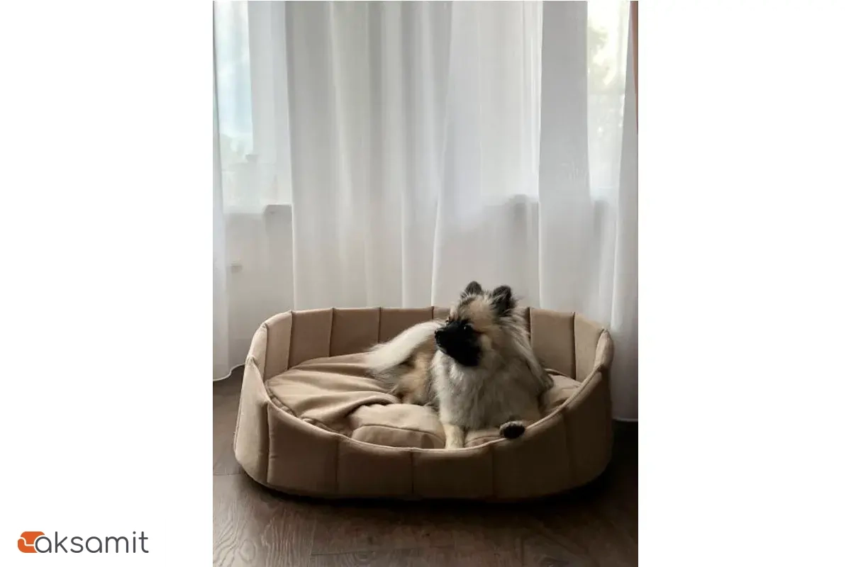 Лежанка Харпер XL Бежевый