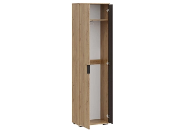 Шкаф для одежды Эвита Тип 1 (Дуб Крафт золотой/Графит серый)