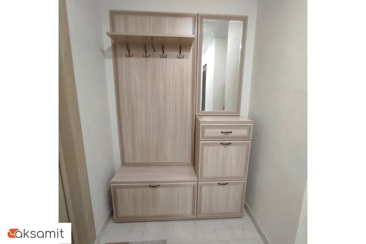 Зеркало ЗР-1002 (Ясень Асахи) Зеркало ЗР-1002 (Ясень Асахи)