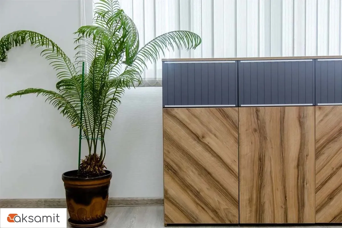 Греденция Моника Мод. 4 (Авелано/Графит)