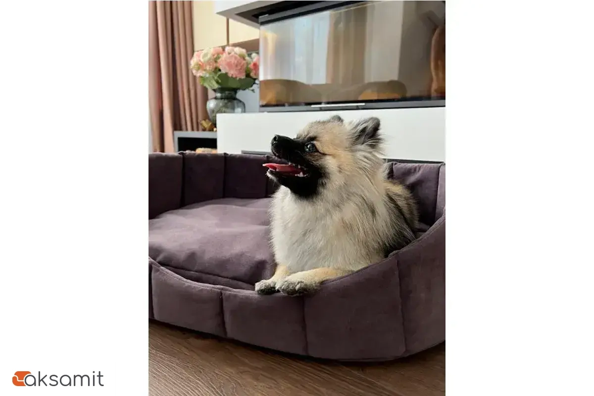 Лежанка Харпер XL XL Фиолетовый