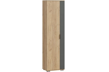Шкаф для одежды Эвита Тип 1 (Дуб Крафт золотой/Графит серый)